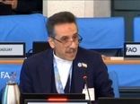 بدون مجازات متجاوزان نمی‌توان برای امنیت ‏غذایی تلاش کرد/ ضرورت حفظ انصاف، آزادگی و استقلال فائو