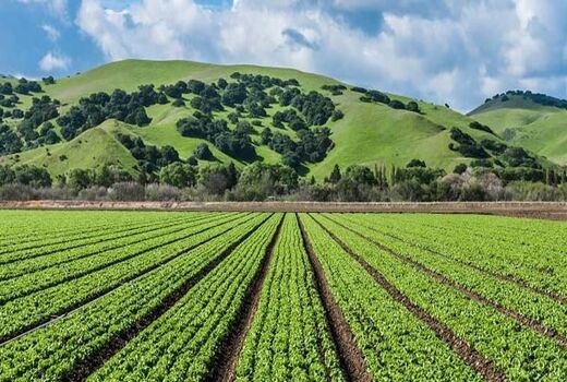 فاز اول واحد نشاسته صنایع تبدیلی پایارد در شهرستان نقده بهره‌برداری 