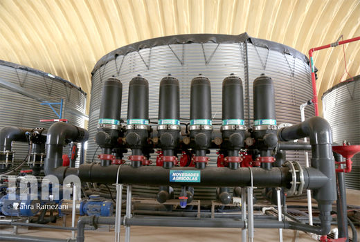 بزرگترین گلخانه هیدروپونیک