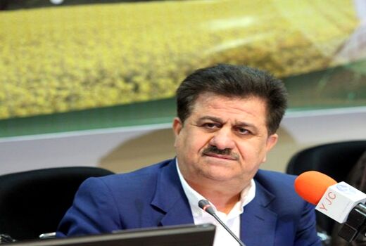 برداشت 101 میلیون شاخه گل نرگس از مزارع استان خوزستان