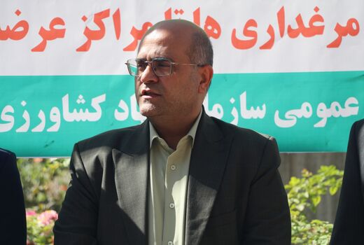 آغاز مانور سراسری نظارت بر بازار کالاهای اساسی در قزوین با تمرکز برعرضه مرغ گرم 