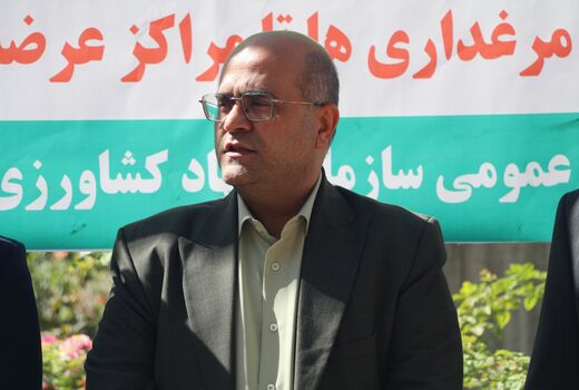 آغاز مانور سراسری نظارت بر بازار کالاهای اساسی در قزوین با تمرکز برعرضه مرغ گرم 