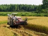 جذب بیش از 37 میلیاردی تسهیلات بانکی توسعه مکانیزاسیون کشاورزی در شفت