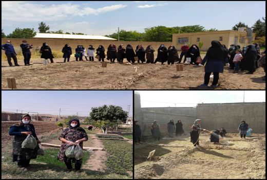 ۵۱۰ زن روستایی در استان قزوین کشت سبزیجات را آموزش می‌بینند