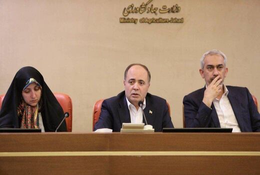 مسئولیت‌های نظارتی در یک ساختار منسجم سامان‌دهی شود