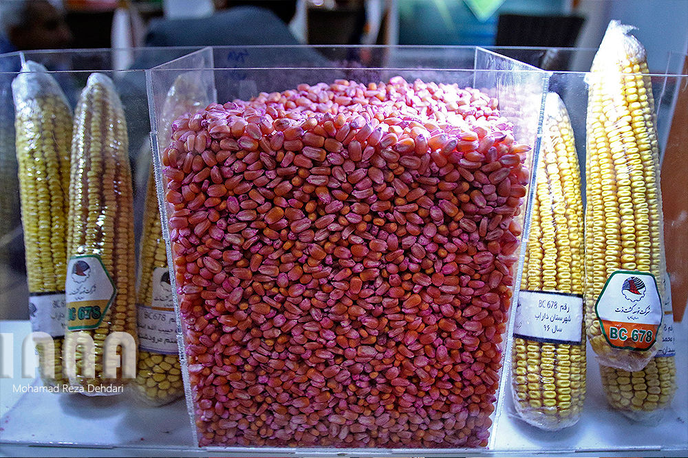 نمایشگاه کشاورزی شیراز