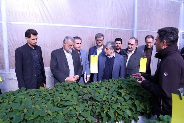 بازدید وزیر جهاد کشاورزی از پروژه های بخش کشاورزی شهرستان پاکدشت 