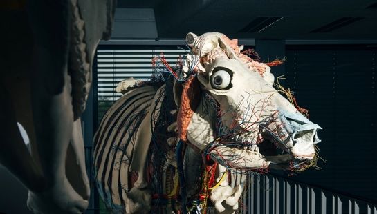 دامداری دلخراش آلمان