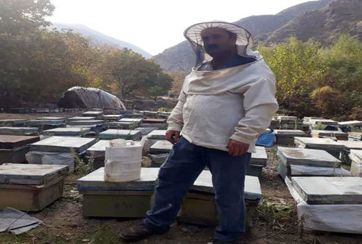 انتخاب شرکت  تعاونی کشاورزی زنبورداران امید مردانقم شهرستان خداآفرین بعنوان شرکت تعاونی نمونه استان
