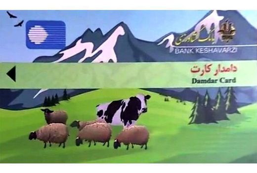 صدور 16 دامدار کارت در تنکابن/5 میلیارد تسهیلات پرداخت شد