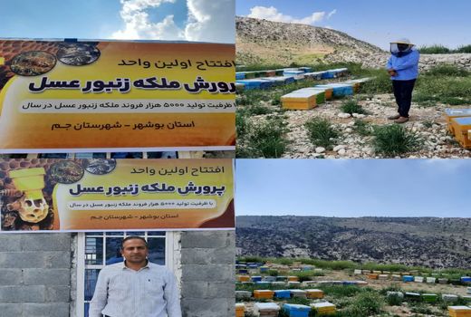 اولین طرح ایستگاه ملکه زنبور  عسل در استان  افتتاح شد