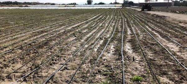 توسعه کشاورزی استان اصفهان با جهش در اجرای آبیاری تحت فشار