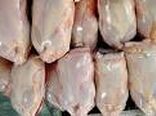 مصرف گوشت مرغ در استان زنجان افزایش یافته است