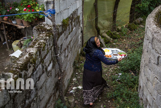 نذری عاشورا در روستای صیقل‌سرا 