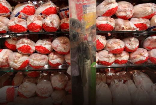 شناسایی ۵۶ واحد صنفی متخلف در استان قزوین 