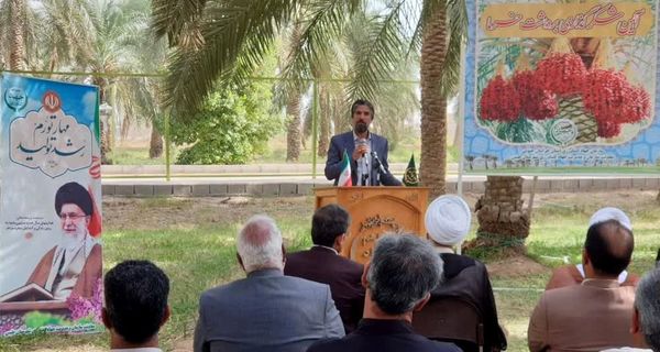 تاکید رئیس سازمان برای معرفی و برندسازی خرمای طبس خراسان جنوبی