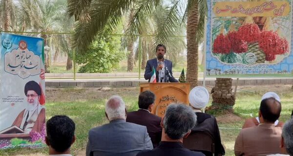تاکید رئیس سازمان برای معرفی و برندسازی خرمای طبس خراسان جنوبی