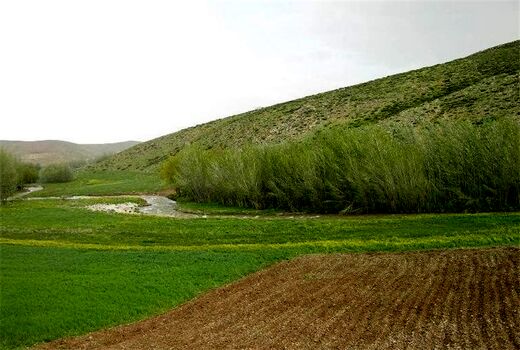 23 طرح کشاورزی در اراضی ملی سمنان اجرایی می‌شود