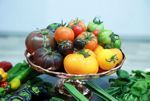 کندی روند واردات، روند تولید را مختل می‌کند