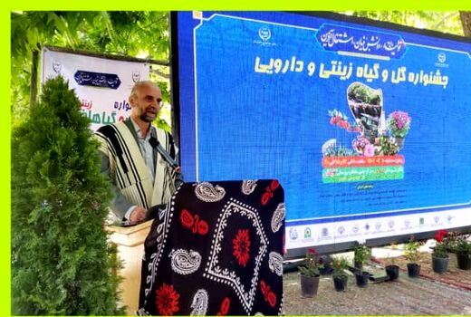 بیش از ۹۰۰ هکتار گل محمدی در لرستان کشت می شود
