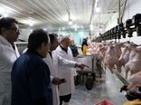 تولیدکنندگان گوشت مرغ در آذربایجان شرقی پای کار هستند / کشتار روزانه ۴۵۰ تن مرغ در استان