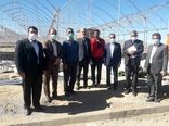 بازدید معاون اعتبارات بانک کشاورزی از مجتمع گلخانه ای درمیان