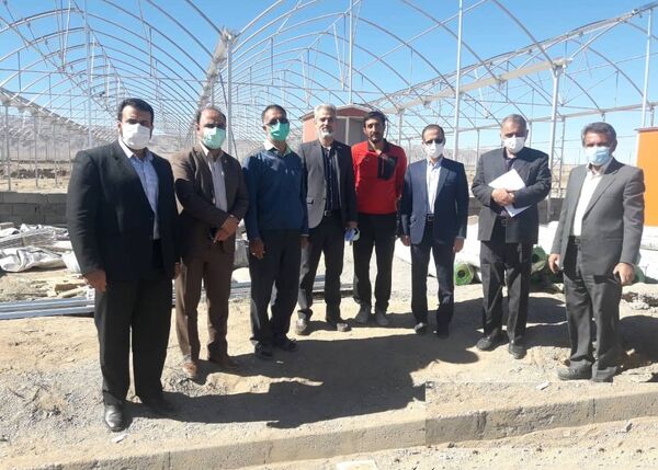 بازدید معاون اعتبارات بانک کشاورزی از مجتمع گلخانه ای درمیان