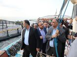 توسعه ظرفیت شیلاتی قشم/ وزیر جهادکشاورزی از مراکز پرورش ماهی بازدید کرد