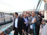 توسعه ظرفیت شیلاتی قشم/ وزیر جهادکشاورزی از مراکز پرورش ماهی بازدید کرد