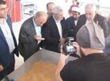 حضور رئیس سازمان جهادکشاورزی خراسان رضوی در شهرستان بجستان