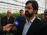 بزرگترین مجتمع گلخانه ای کشور در استان اردبیل در دست اجراست