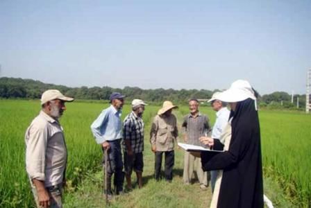 توسعه بخش کشاورزی با شبکهسازی و ارتباطات با کنشگران امکانپذیر است