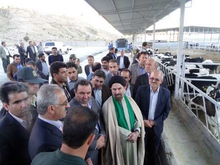 فعالیت 142 واحد مرغداری گوشتی، 121 واحد پرواربندی گوسفند و 96 واحد پرورش گوساله در کهگیلویه و بویراحمد