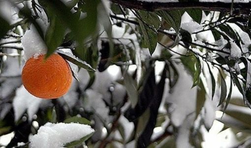 اعلام هشدار نارنجی با تشدید فعالیت سامانه بارشی از 28 دی ماه