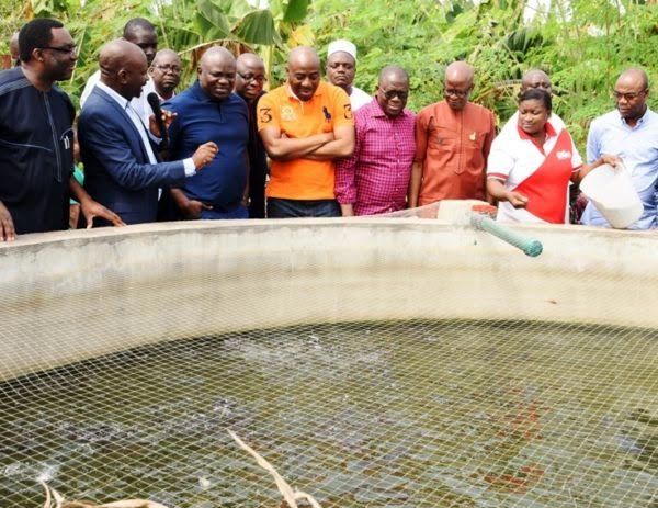 نیجریه پروژه افزایش گردشگری کشاورزی و امنیت غذایی را اجرا می‌کند