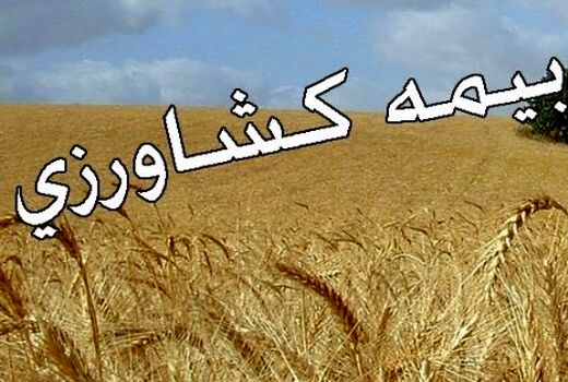 توسعه صددرصدی بیمه محصولات کشاورزی