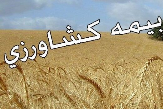 تأخیر پرداخت خسارت کشاورزان، علت بیمه نکردن محصولات کشاورزی