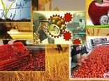 صدور دو  مجوز جدید صنایع تبدیلی و تکمیلی در شهرستان پردیس