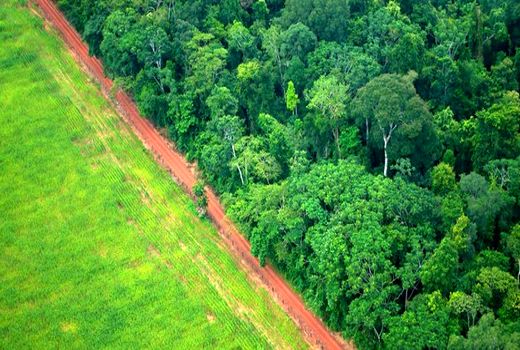 حفاظت از ۲۰ میلیون هکتار منابع طبیعی به مردم