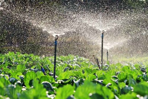 نحوه پرداخت قبوض آب بهای کشاورزی تعیین شد