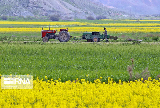 کاشت بذور سخت و برداشت توسعه