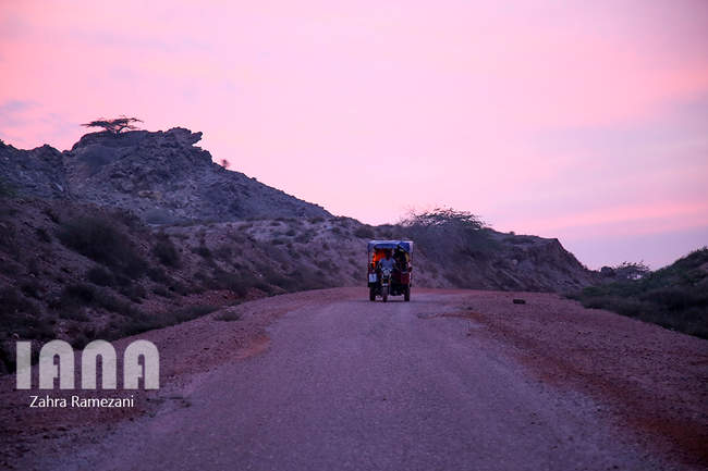 جزیره هزار رنگ 