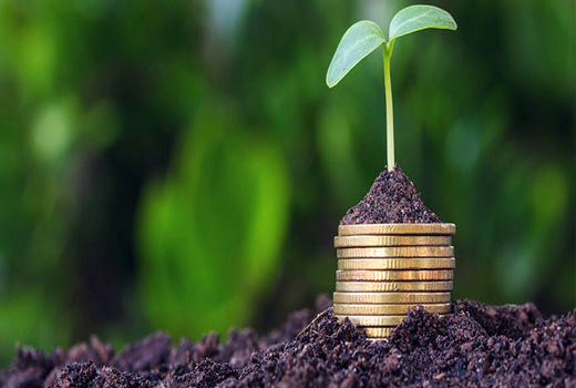 اقتصاد کشاورزی قوی و قوانین پیشرو از ارکان توسعه بیمه هستند/ پیشرفت بیمه فراگیر در دام و آبزیان کشور