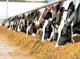 کاهش بیماری بروسلوز و تب مالت انسانی در استان بوشهر