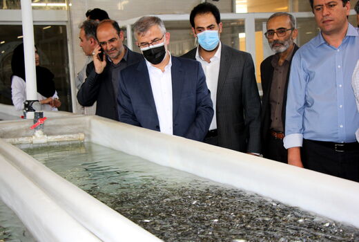 بازدید استاندار البرز از قدیمی ترین مرکز پرورش و تکثیر ماهی کشور