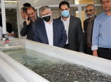 بازدید استاندار البرز از قدیمی ترین مرکز پرورش و تکثیر ماهی کشور