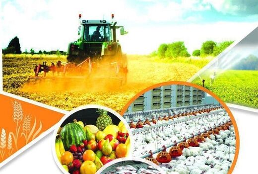  امروز جبهه تولید، میدان جهاد است