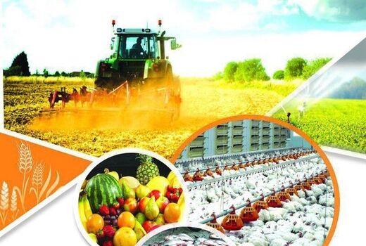  امروز جبهه تولید، میدان جهاد است