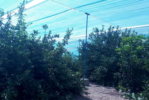 یک میلیون هکتار از اراضی کشور زیر سایبان می‌رود