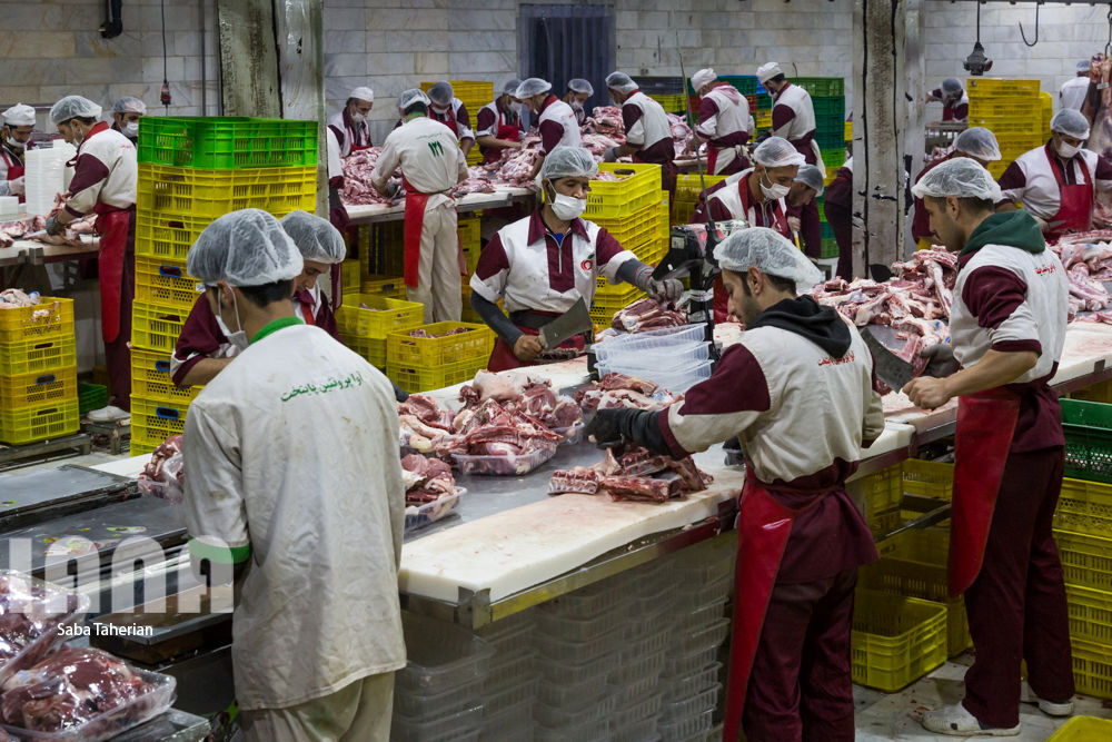 بسته‌بندی محصولات پروتئینی